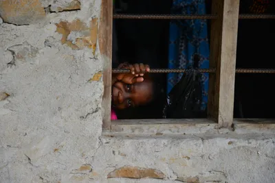 DSC_4745 (Large).JPG